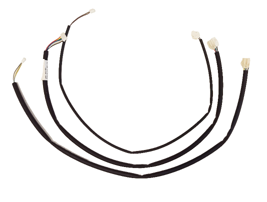 Faisceau de câbles de connexion - Rallonge