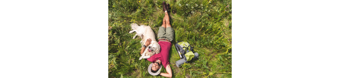 Wanderer liegt entspannt in einer Wiese und kuschelt mit seinem aufgeweckten Hund