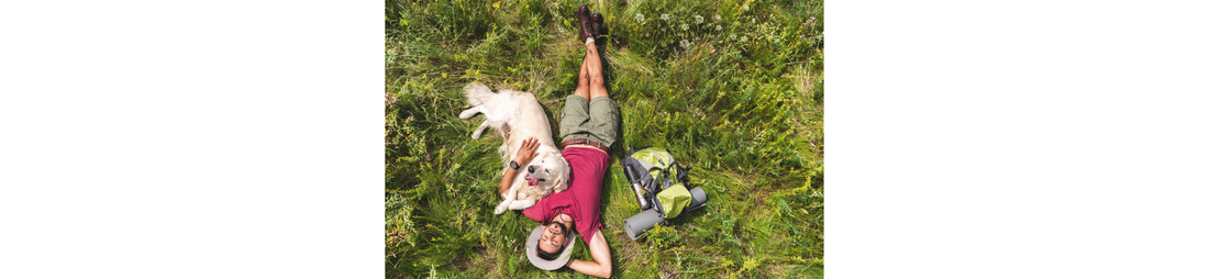 Urlaub mit Hund – Tipps für einer Hundetrainerin für eine gelungene Reise