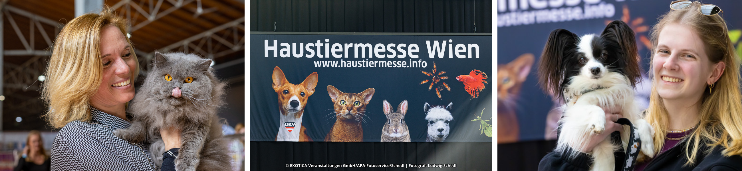 Collage mit Fotos von der Haustiermesse Wien