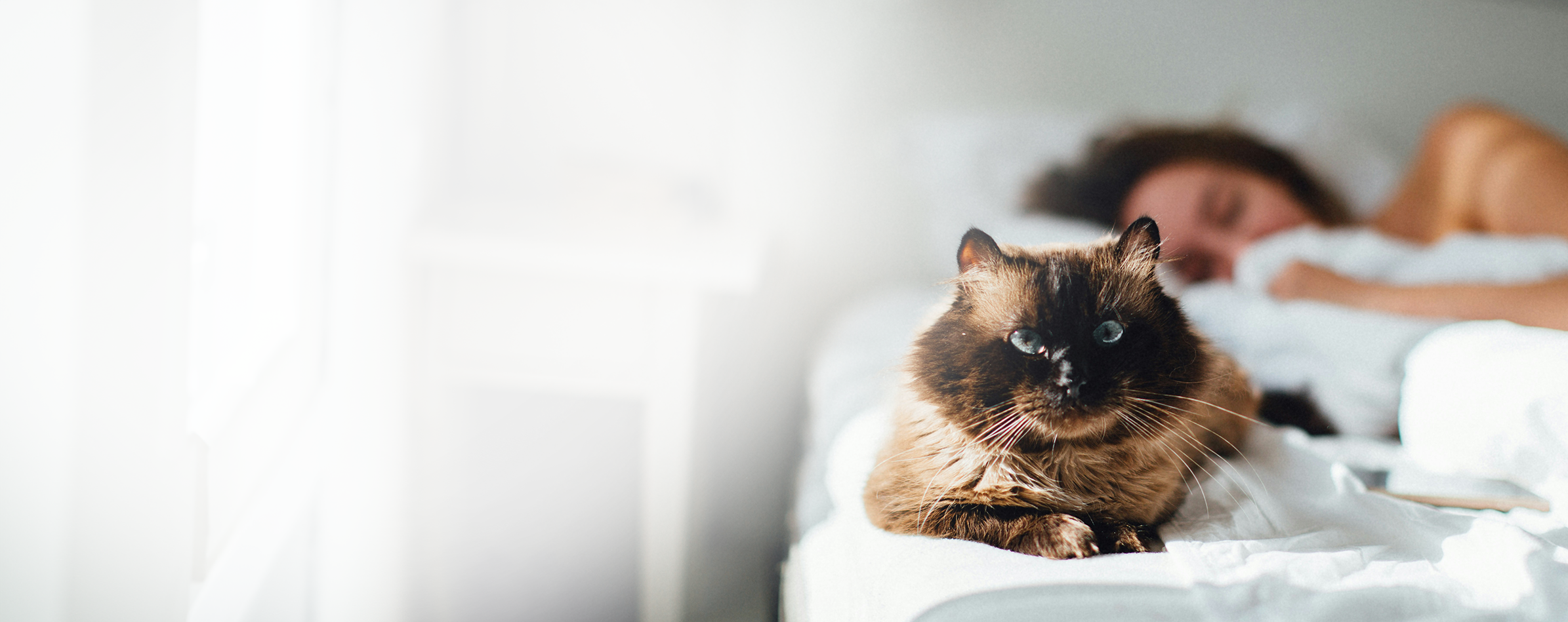 Frau die entspannt neben ihrer Katze im Bett schläft, weil sie weiß, dass sie durch petWALK geschützt sind.